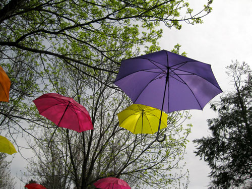 Umbrellas 1